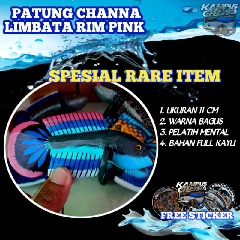 PATUNG CHANNA LIMBATA RIM PINK