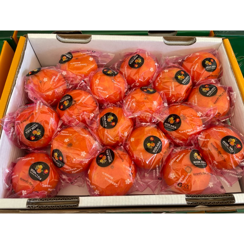 

Jeruk wokara mandarine seedless fresh 5,5kg/box