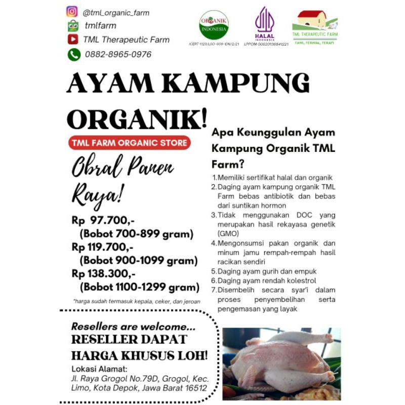 

AYAM KAMPUNG ORGANIK TML FARM 900-1099 GRAM