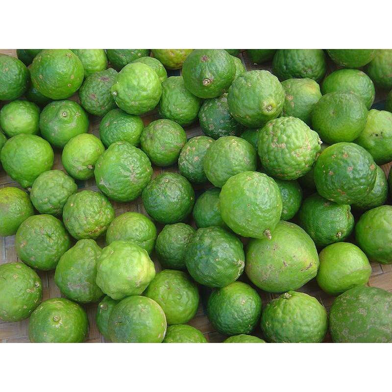

Fresh Buah Jeruk Purut Bumbu Masak Per 3 Biji