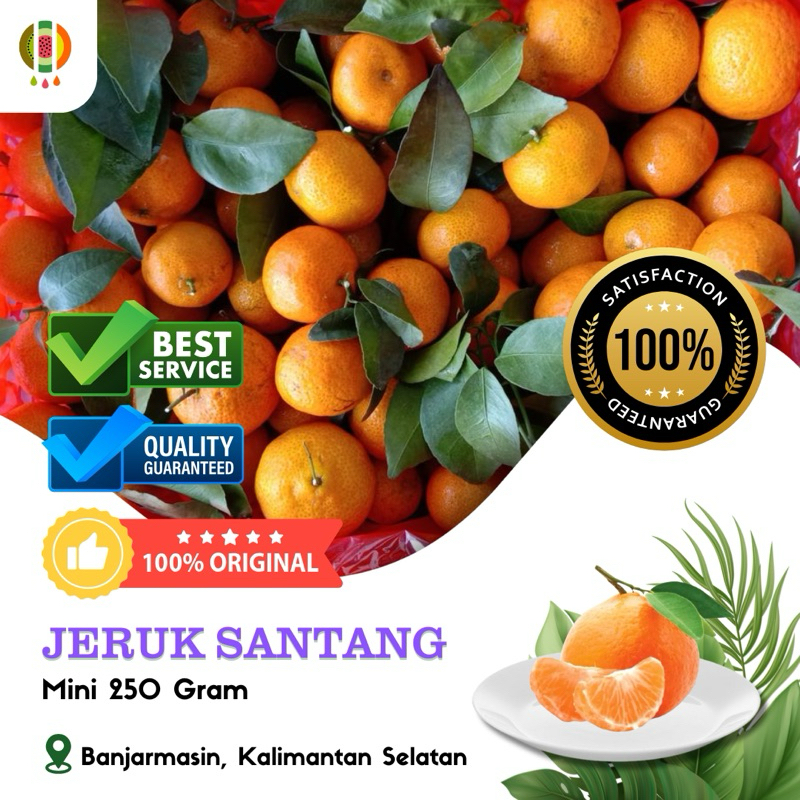 

Jeruk Santang Mini