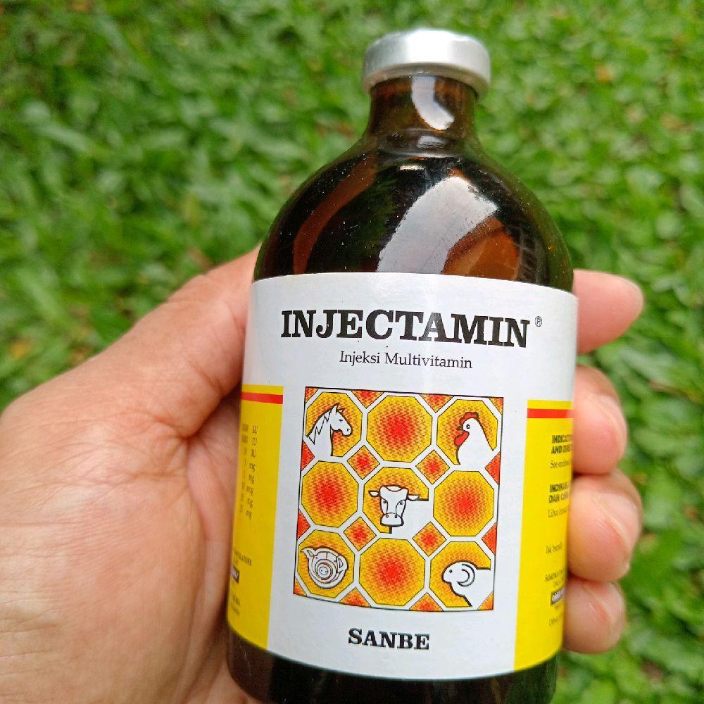 INJECTAMIN 100ml Multivitamin dan suplemen kesehatan ternak sapi, kambing, dan domba