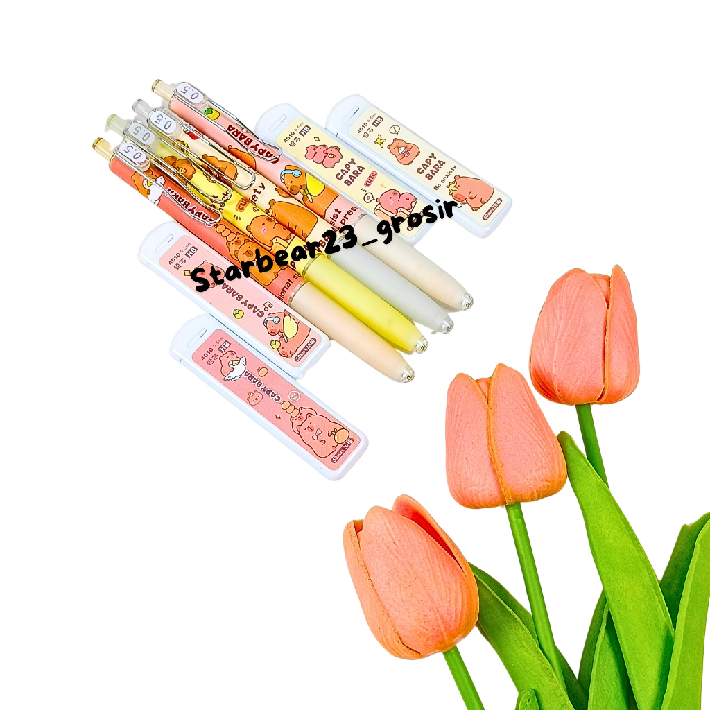 

Paket pensil mekanik the cute moroll and friends 0,5mm terbatas (CIA 658)