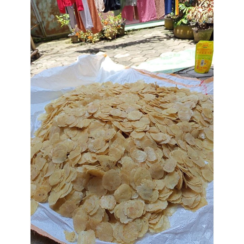

Nycyta Home Kerupuk Emping Melinjo Kecil 500Gr Mentah Kering Super Premium Asli Kebumen