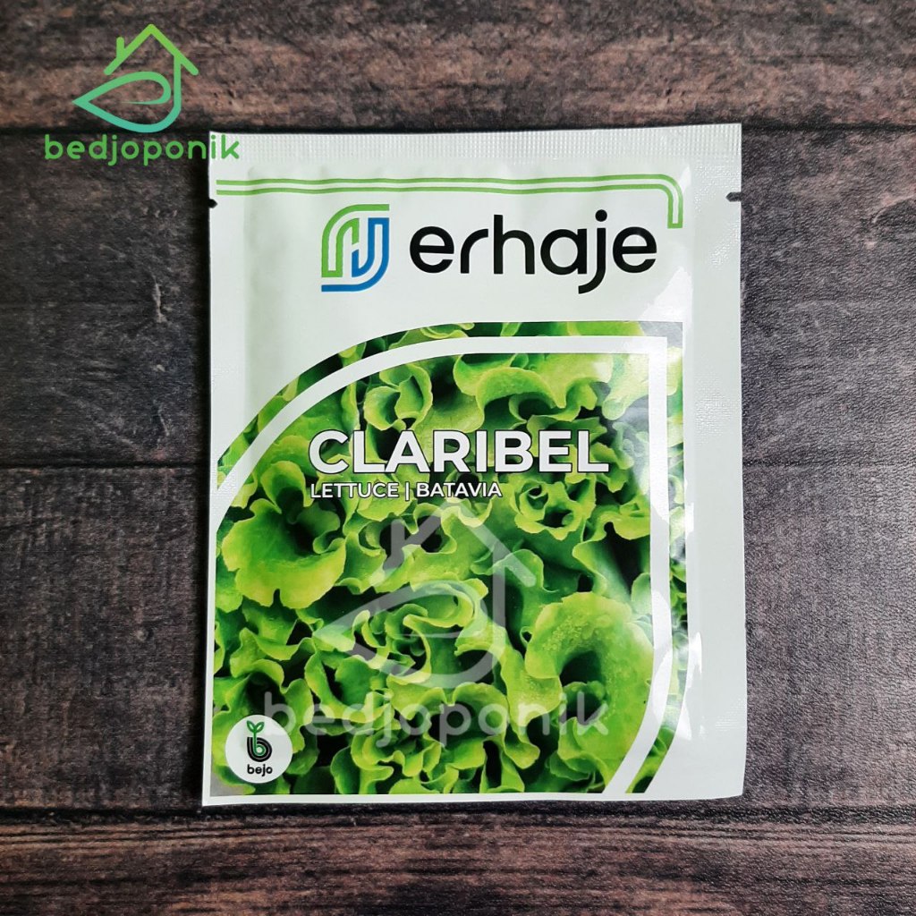 1000 pills CLARIBEL - bejo seed - Benih Lettuce Batavia Benih Selada bejo Original