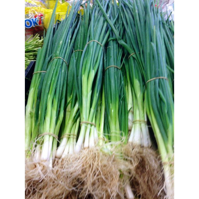

daun bawang 250grm