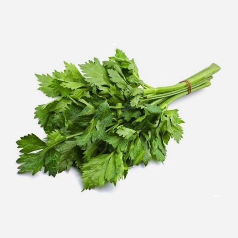 

daun seledri berat 250grm