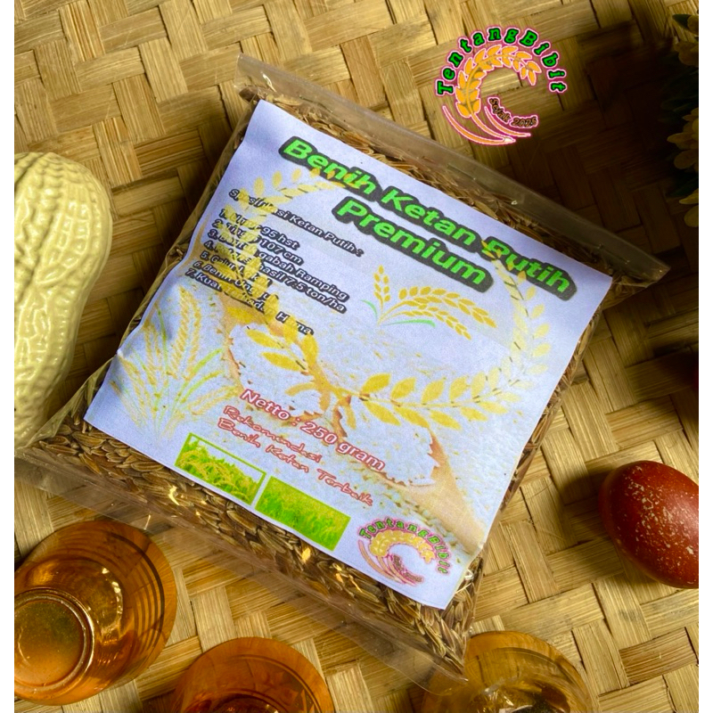 Benih ketan putih / bibit ketan putih 250 gram