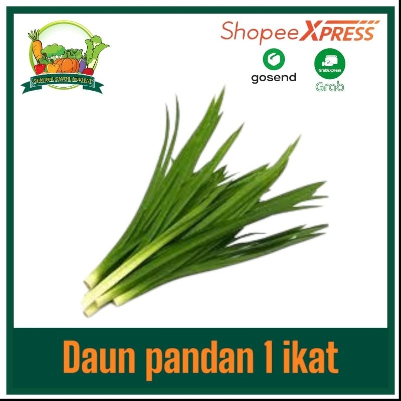 

Daun pandan segar 1 ikat - KIRIM INSTAN
