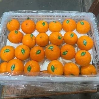

Buah Jeruk Wogan Krat Curah Jual Per 1 BOK Krat