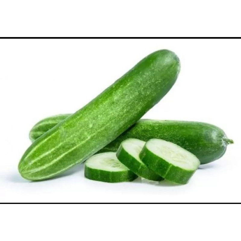 

Timun Segar Timun Kecil Buah/Sayur 1 kilo Fress