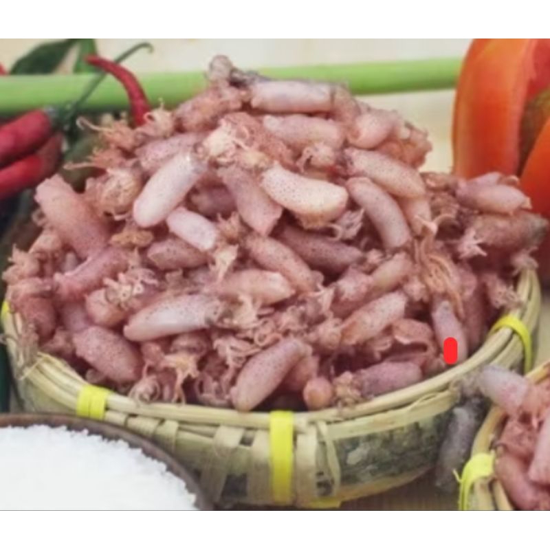 

Baby Cumi Size 1-2 Cm 500 Gram