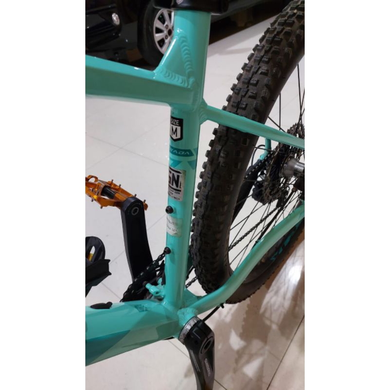 Polygon Xtrada 7 th 2020 Size M