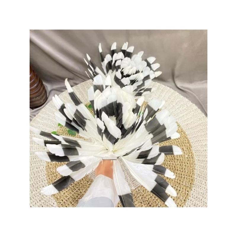 BULU TARI DAYAK - KIRIP TARI DAYAK