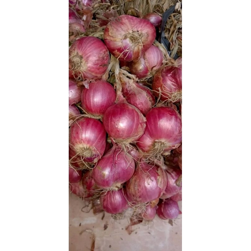 

BAWANG MERAH ASLI LOMBOK 500GR