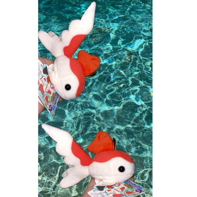 Ganci Koi bulir amuse