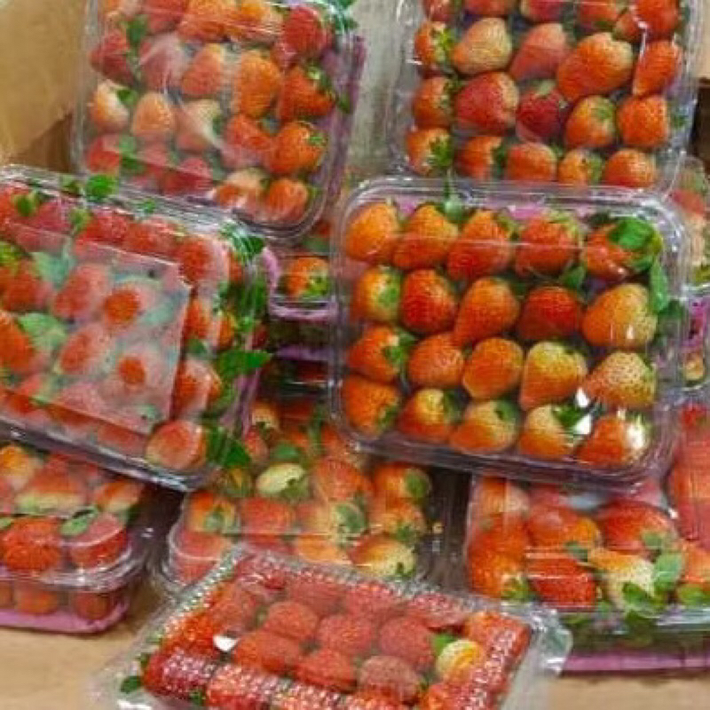 

Buah Strawberry Fresh Pack Besar 500Gram (Pre Order/Pesan Sekarang Kirim Besok)