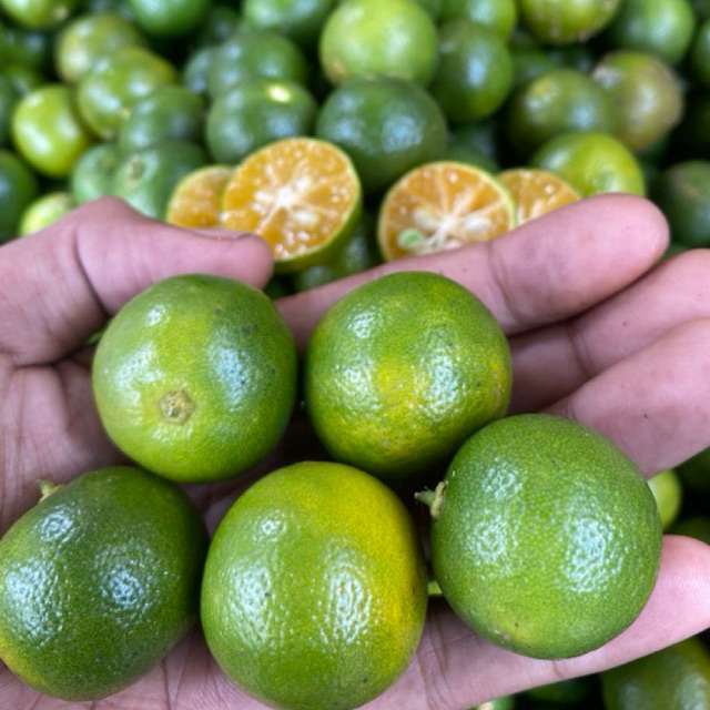 

1kg jeruk sonkit kasturi jeruk lemon cui