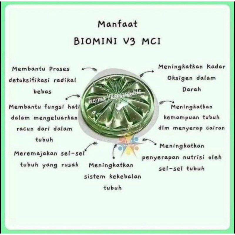 Biomini mci