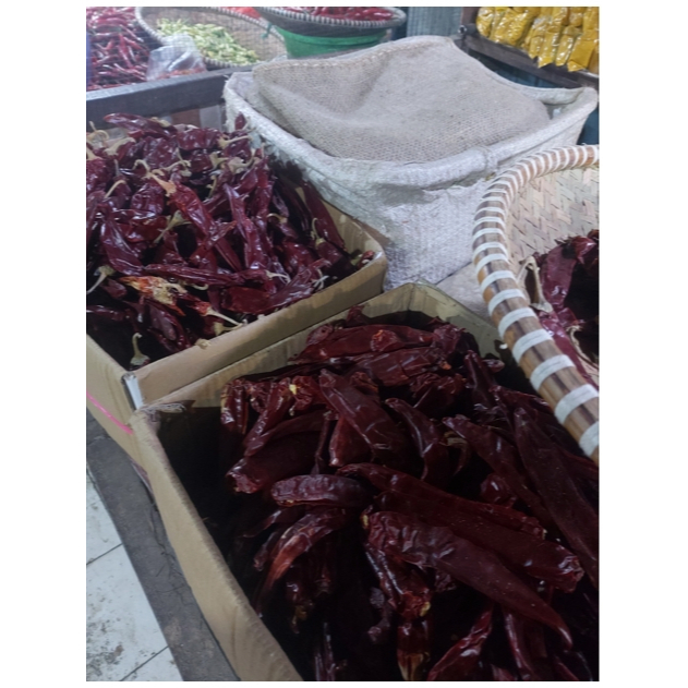

Cabe Borneo Kalimantan Tidak Pedas Kualitas Bagus