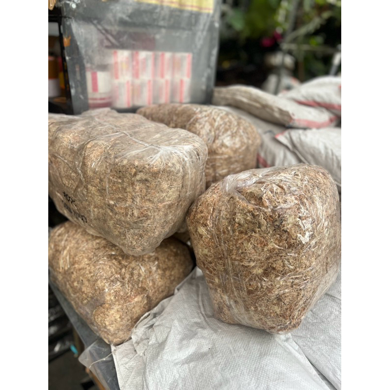Moss Putih (Chili Moss) 1kg