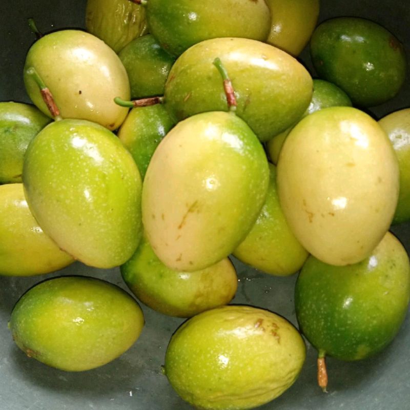 

Buah markisa atau konyal segar 1 kg