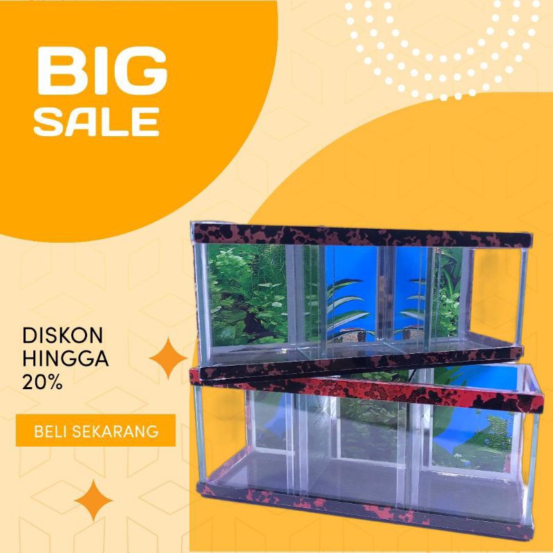 aquarium cupang sekat 3