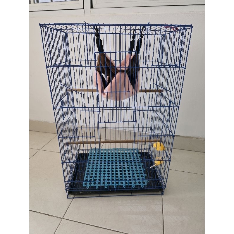 Kandang Bekas Sugarglider