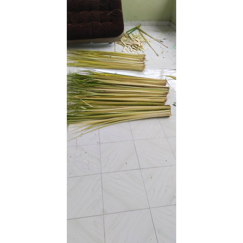 

Daun Kelapa muda