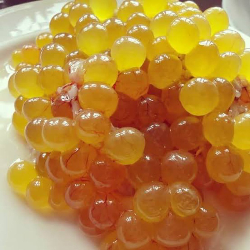 

Telur Manyung Mentah Telur Ikan Manyung