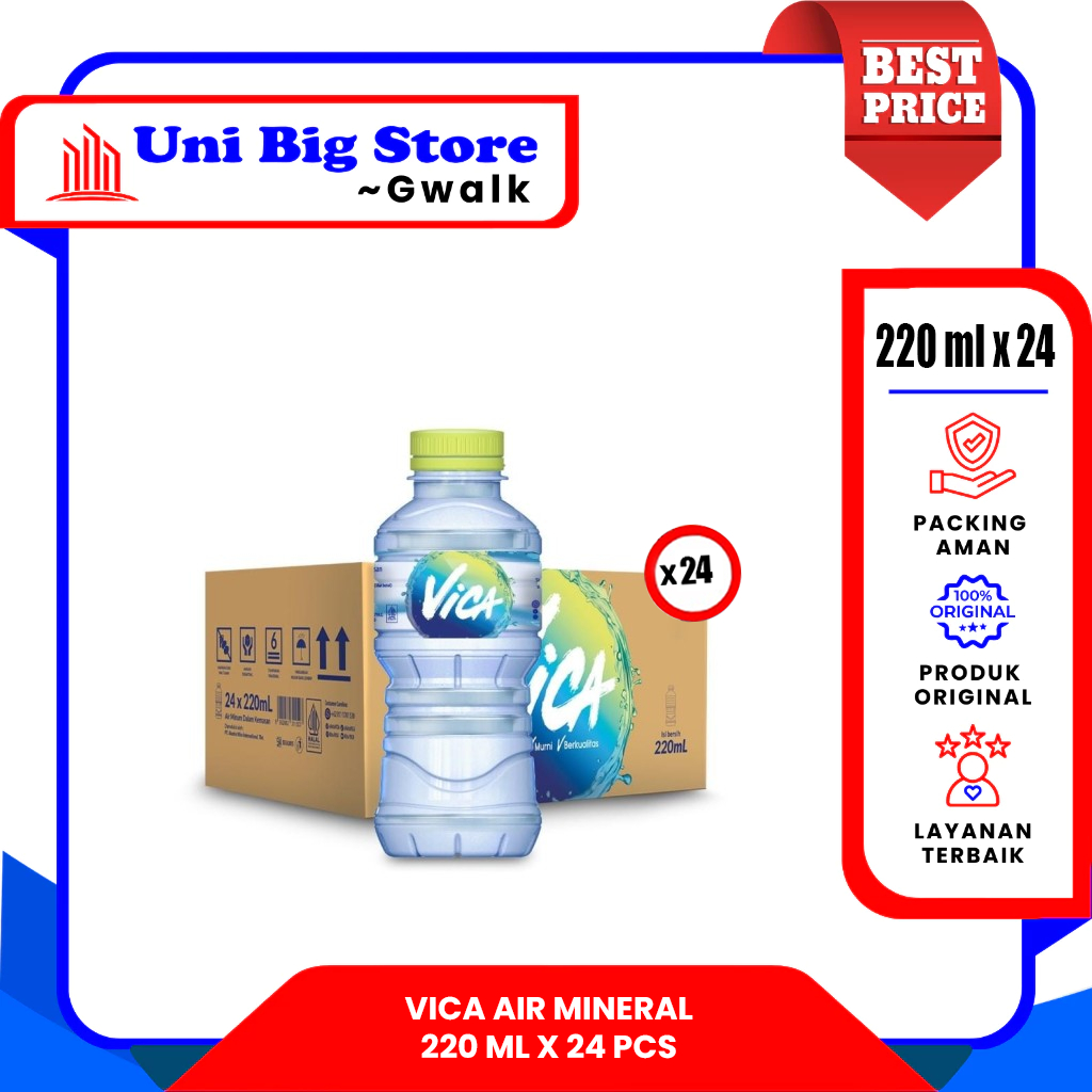 

VICA AIR MINERAL DUS - (220 ml x 24 pcs)