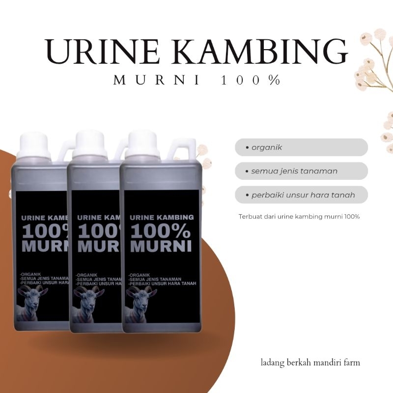 Urine Kambing Pupuk Organik Pupuk Tanaman
