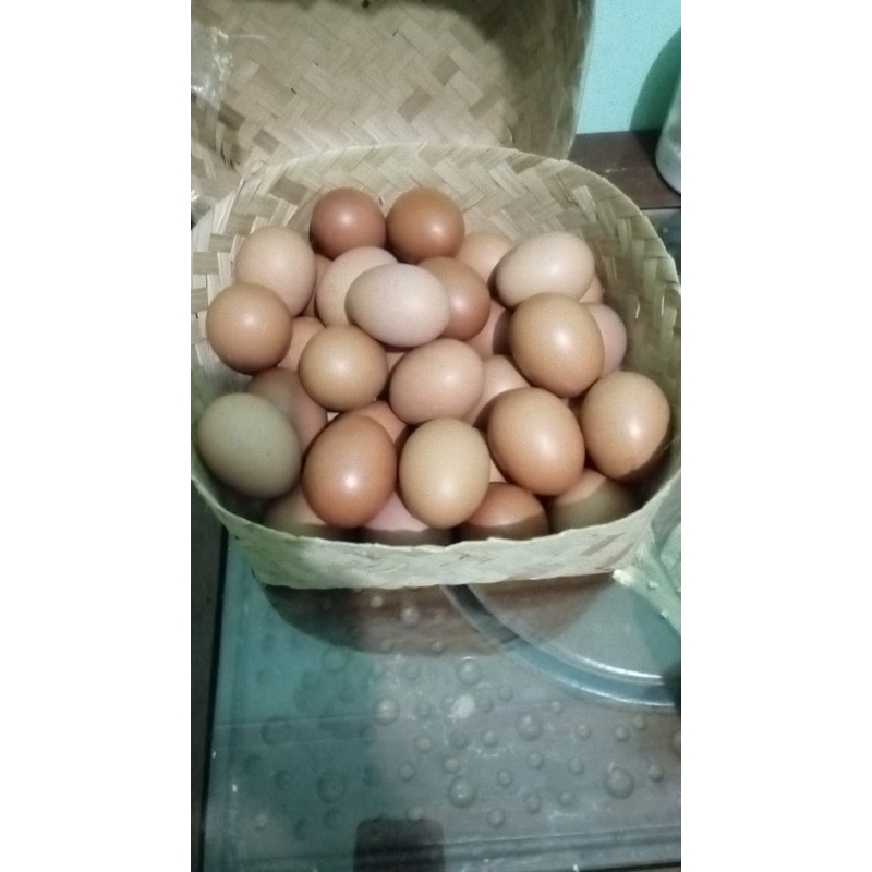 

Nota Telor 1 kwintal