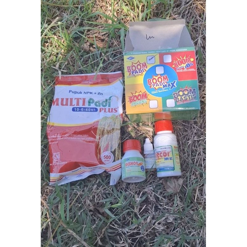 Boom padi cap kapal terbang