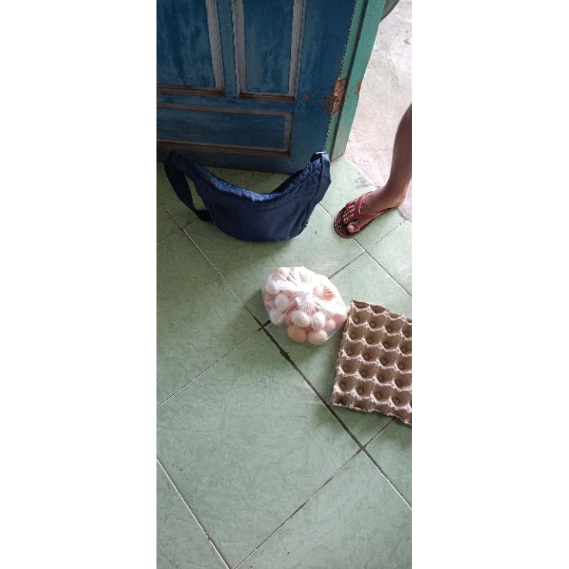 

telur ayam kampung pedaging