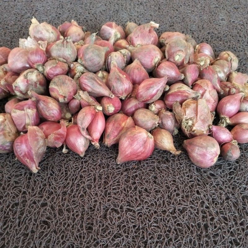 

Bawang Merah Asli Brebes Original 100%