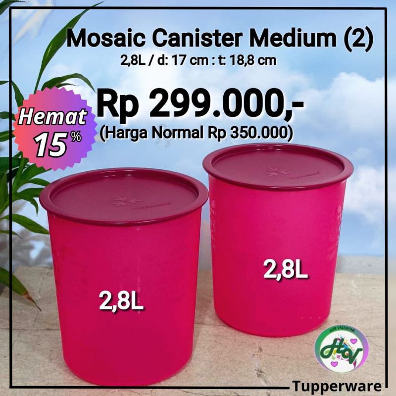 Tupperware Mosaic Canister Medium (1pc)