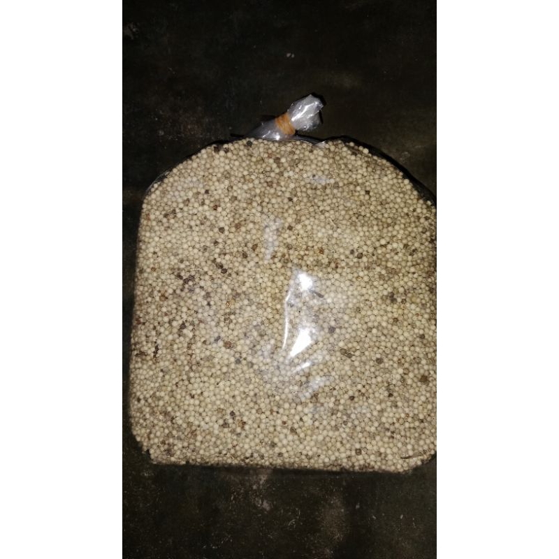 

lada asli bangka perkilogram perlakuan istimewa