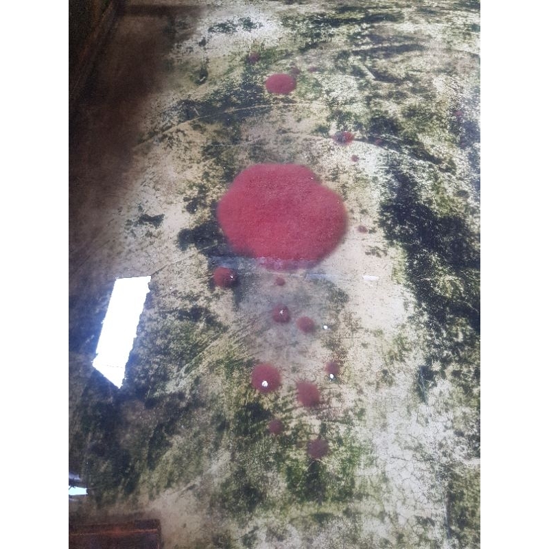 Plastik gambar Cacing sutra 1 liter /grab gojek