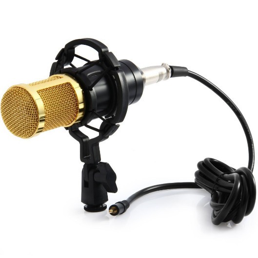 Microphone condenser BM800