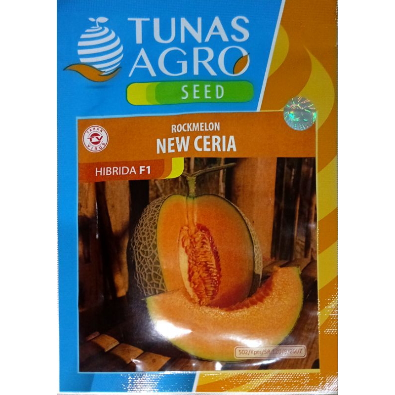 BENIH ROCK MELON CERIA F1 TUNAS AGRO
