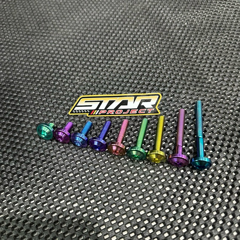 Baut Titanium M6 baut 10 BIG HEAD 1-6CM