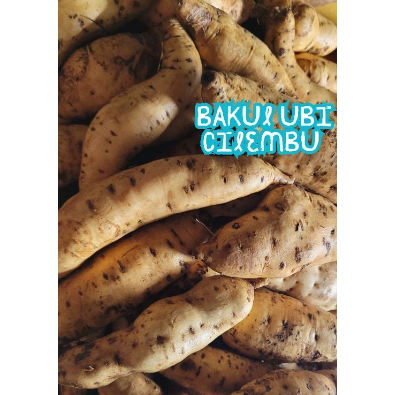 Ubi Madu Cilembu Tipe AB isi 3-5 perkilo