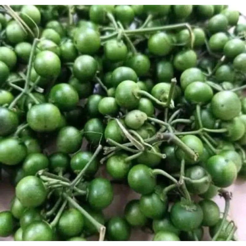 

LEUNCA / LENCA / POKAK