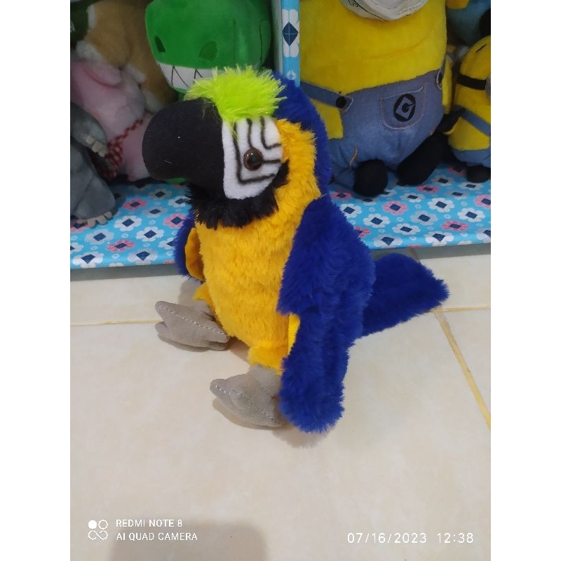 boneka burung bird macaw parrot gembiraloka zoo