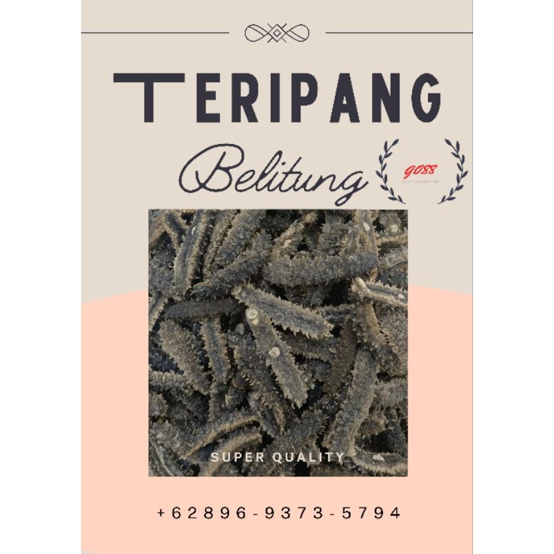 Teripang Duri Belitung / Haisom Kering / Gamat Duri / Kualitas Bagus 100 grm