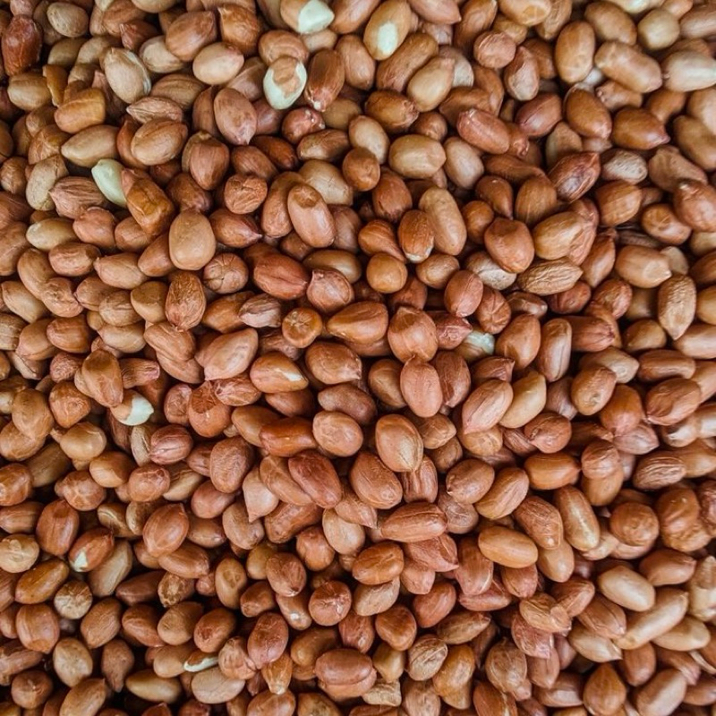 

kacang tanah mentah 500gr-1kg