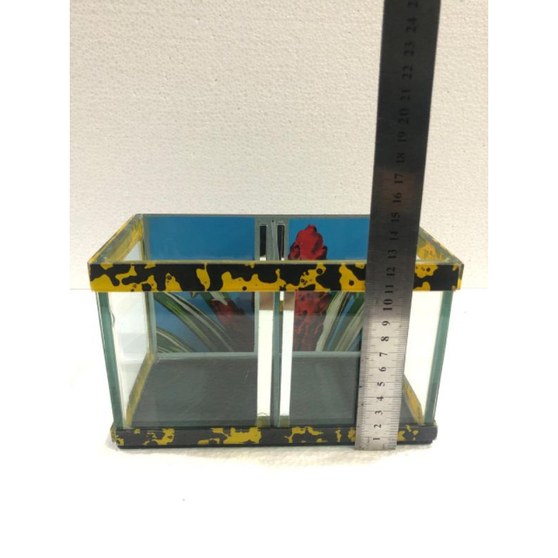 aquarium cupang sekat 2