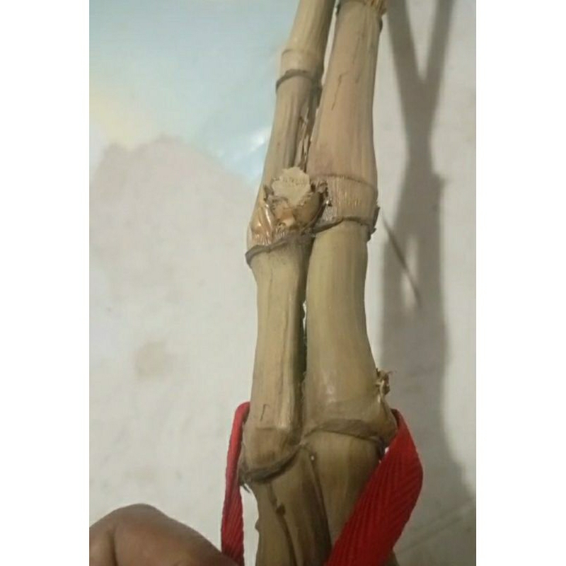 bambu petuk dampit plus pemekang jagat