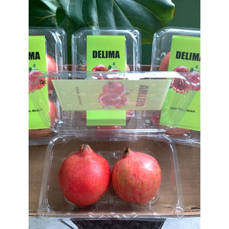 

Delima India